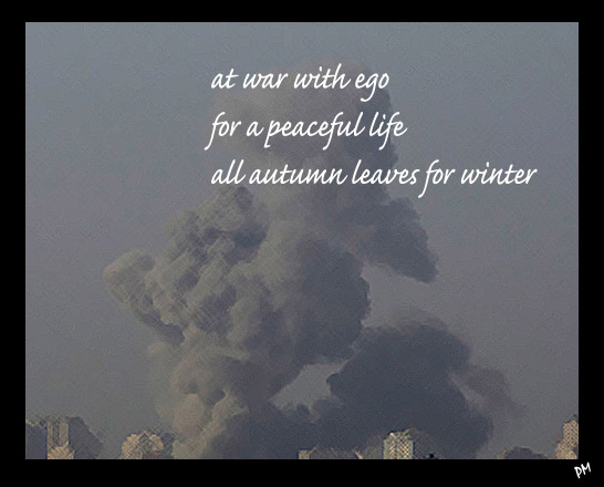 Gaza Haiku image