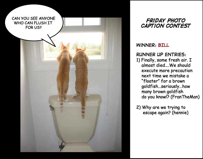 Click cartoon to read full post or to COMMENT Two Cats on the Loo Photo Caption Contest cartoon