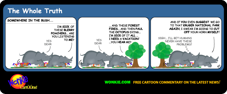 Click cartoon to read full post or to COMMENT Top 10 hidden holiday destinations South Africa cartoon