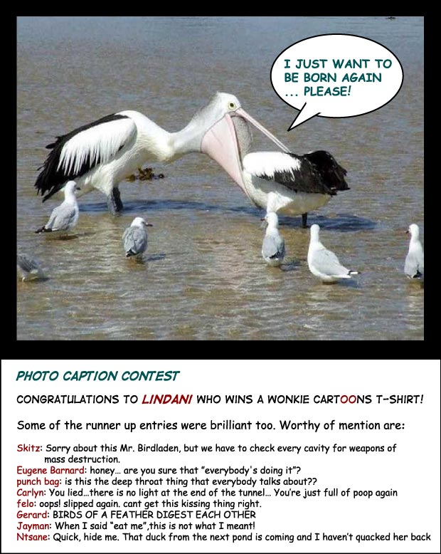 It’s a Bird Eat Bird World Photo Caption Challenge image