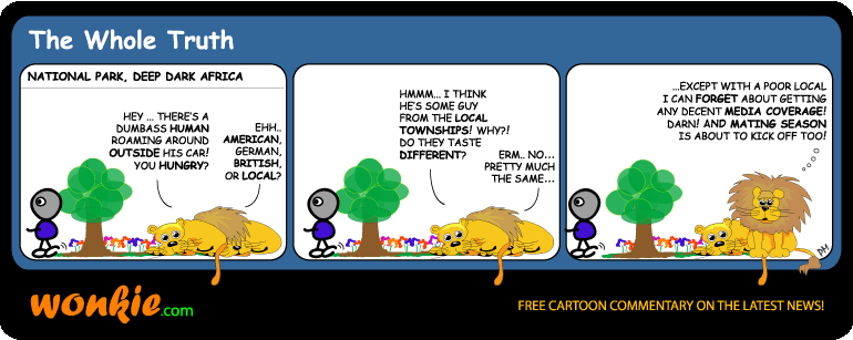 Click cartoon to read full post or to COMMENT Value of Life in South Africa – Anni Dewani’s Murder cartoon