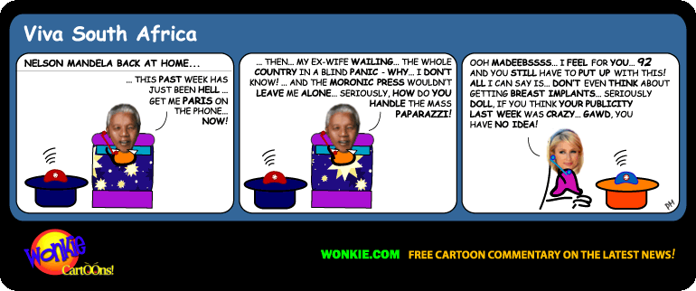 What will happen when Nelson Mandela dies? cartoon