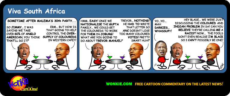 Are Jimmy Manyi’s comments racist? cartoon