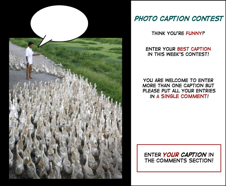 Click cartoon to read full post or to COMMENT Political Ducks – Photo Caption Challenge cartoon