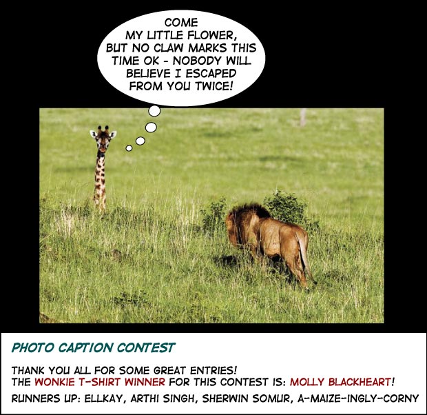 Click cartoon to read full post or to COMMENT Lion meets Giraffe Photo Caption Challenge cartoon