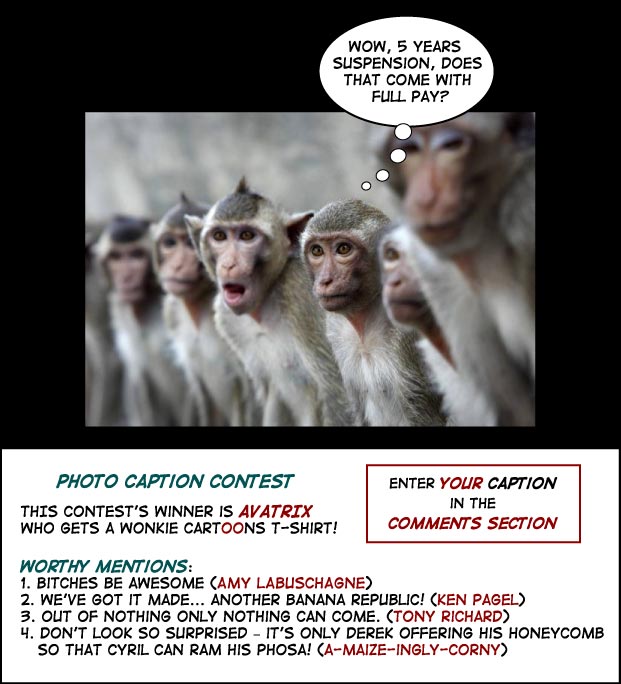 Click cartoon to read full post or to COMMENT Monkey Do, Monkey See – Photo Caption Challenge cartoon