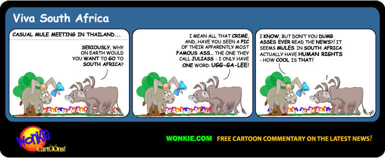 Human Rights for Drug Mules – a Wonkie Donkey Cartoon image