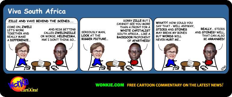 Cosatu vs DA – Defending the Human Right to Throw Stones image