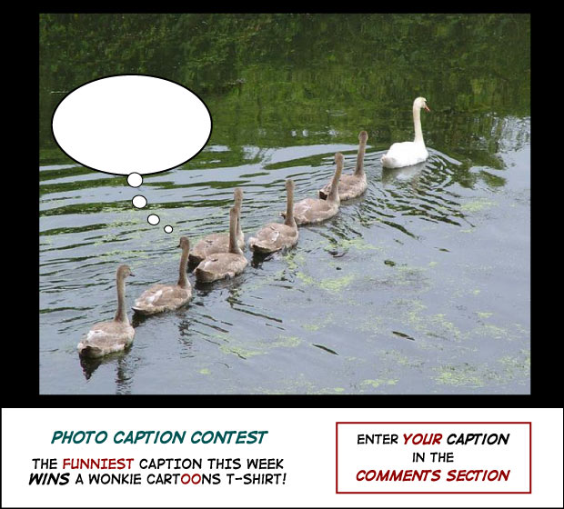 Follow the Leader – Photo Caption Contest image