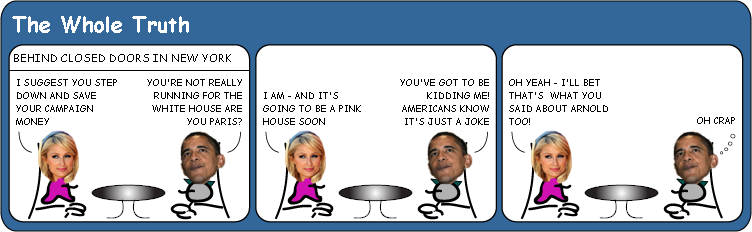 Paris Hilton runs for US president cartoon