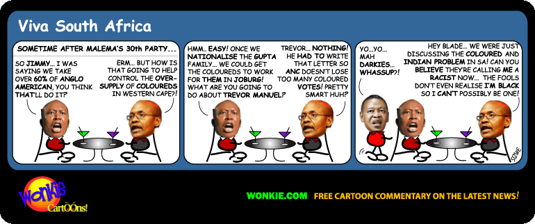 Jimmy Manyi Black Racists cartoon