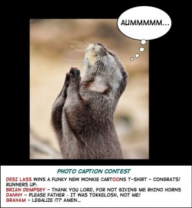 rodent prayer photo caption cartoon
