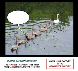 Follow the Leader photo caption contest