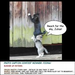Help a Cat Up Photo Caption contest