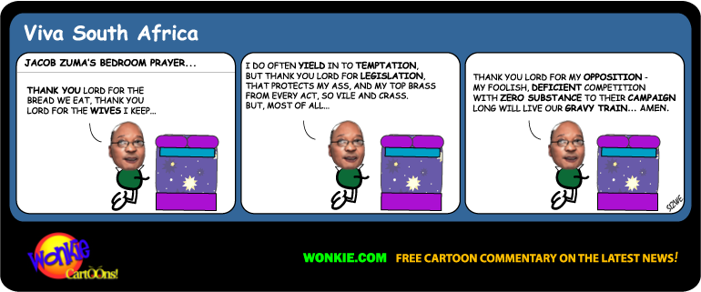 South Africa 2014 elections cartoon